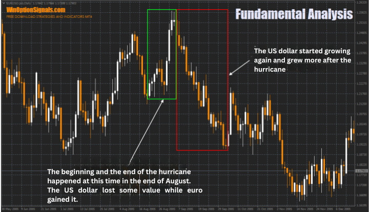 Impact of Hurricane Katrina on the market